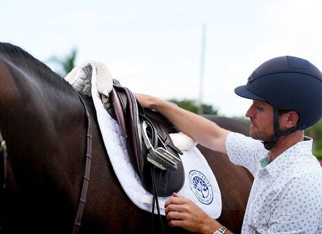 Todo sobre el transporte de caballos
